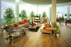 Những điều cấm kị khi đưa cây xanh vào không gian sống