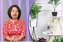Những điều cấm kị khi đưa cây xanh vào không gian sống