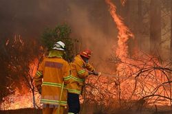 Australia: Xuất hiện thêm các đám cháy mới tại New South Wales