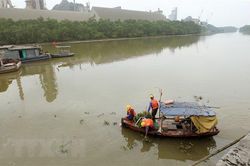 Khắc phục sự cố tràn dầu tại Công ty Ximăng Chinfon Hải Phòng