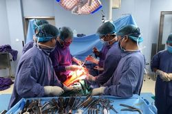 Thay khớp háng giúp cụ ông 93 tuổi thoát cảnh tàn phế