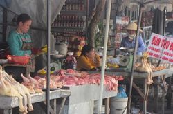 Giá thịt lợn liên tục tăng cao tại các tỉnh phía Nam