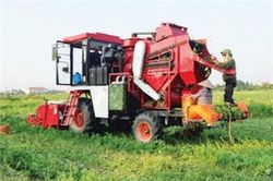 Tp.Hải Phòng đẩy mạnh việc tiếp sức cho các HTX nông nghiệp