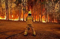 60 đám cháy rừng bao trùm khắp miền Tây-Nam Australia