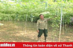 Hiệu quả phong trào nông dân thi đua sản xuất, kinh doanh giỏi ở xã Thiệu Dương