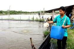 Khuyến khích người dân chuyển sang nuôi tôm công nghệ cao