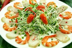Đơn sơ những món rau mầm
