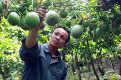 Nhìn lại công tác dân vận ở Lạc Dương