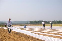 Khởi động dự án Xây dựng chuỗi liên kết nâng cao hiệu quả sản xuất lạc thích ứng biến đổi khí hậu