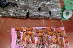 Phục kích bắt đối tượng vận chuyển 1.000 kíp nổ