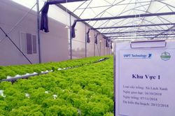OPTiM Nhật Bản giúp VNPT triển khai nông nghiệp thông minh tại Việt Nam