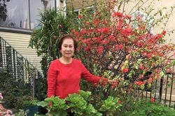 Bà cụ thành hiện tượng mạng vì sở thích mặc đồ giống màu vườn hoa