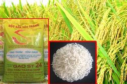 ST24 của Sóc Trăng là 'Gạo ngon nhất thế giới năm 2019'