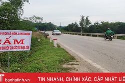 7 trâu, bò chết do mắc bệnh lở mồm long móng ở huyện miền núi Hà Tĩnh