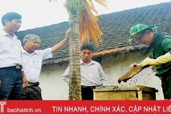Hợp tác xã Hà Tĩnh chưa hấp thụ chính sách từ Nghị quyết 65 của HĐND tỉnh