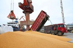 Trung Quốc tiếp tục mua đậu tương Mỹ dù thiếu kho chứa