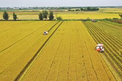 Đổi mới đưa nông nghiệp Việt Nam phát triển vượt bậc