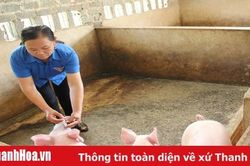Khó khăn trong thực hiện công tác tiêm phòng cho đàn vật nuôi