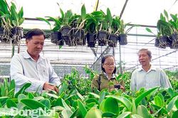 Ngày mới ở Xuân Bảo