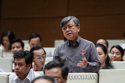Không nên miễn thị thực vô điều kiện cho người nước ngoài vào khu kinh tế ven biển của Việt Nam