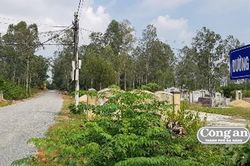 Thi công trước, đấu thầu… sau (!?)