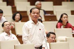 Thí điểm bỏ HĐND cấp phường của Hà Nội có vi hiến không?
