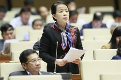 ĐB lo ngại nguy cơ xâm nhập của người nước ngoài núp danh nghĩa du lịch