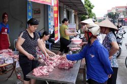 Cục Chăn nuôi: Giá lợn thịt lên cao không phải do thiếu nguồn cung
