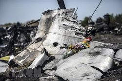 Vụ MH17: Cơ quan điều tra công bố một đoạn ghi âm 'nhạy cảm'