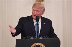 Nhiều ứng cử viên đảng Dân chủ vượt qua Tổng thống Trump tại bang Georgia