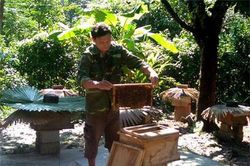 Minh Hóa, Quảng Bình: Từng bước giúp người dân giảm nghèo