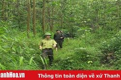 Hạt Kiểm lâm huyện Bá Thước tích cực tuyên truyền pháp luật về bảo vệ rừng