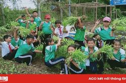 'Vườn rau sạch - gây quỹ giúp bạn học nghèo'
