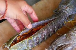 Bề bề sốt me - đặc sản đường phố Indonesia