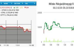 VN-Index lùi về sát mốc 1.010 điểm