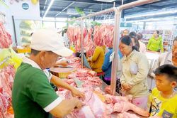 Giá heo tăng do nhiễu thông tin