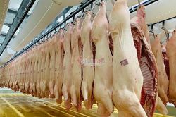200 ngàn/kg thịt lợn, chưa bao giờ như cái Tết này