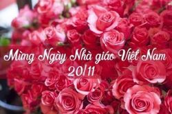 Những lời chúc 20/11 dành cho thầy cô ý nghĩa nhất