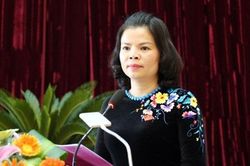 Sự nghiệp của tân nữ Chủ tịch UBND tỉnh Bắc Ninh 50 tuổi
