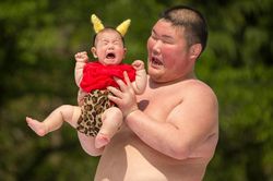 Võ sĩ sumo Nhật thi nhau dọa trẻ sơ sinh khóc thét