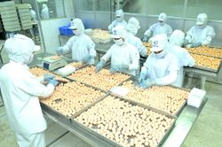 Thu hút vốn FDI vào công nghiệp chế biến