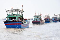 Tiếp tục cấp phép tàu khai thác trong vùng đánh cá chung Vịnh Bắc Bộ