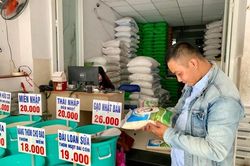 Sau 'đăng quang' quán quân ngon nhất thế giới, gạo ST25 Việt Nam 'cháy hàng'