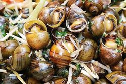 Ăn loại ốc này vào mùa thu đông không chỉ ngon mà còn chữa được vô số bệnh hay ho thế này!