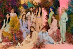 MNET xác nhận: Không có chuyện sẽ mở bán album IZ*ONE ngày 22/11