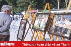 Hài hòa lợi ích