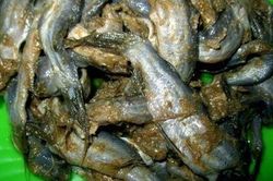 Mắm bò hóc nặng mùi nhưng rất 'đưa cơm' của người Khmer Nam bộ