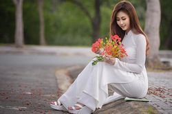 Những lời chúc Ngày Nhà giáo Việt Nam 20/11 hay và tình cảm nhất