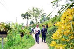 Rong chơi bản có số nhà