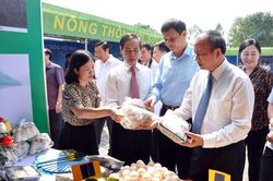 97% xã trên địa bàn tỉnh Vĩnh Phúc đạt chuẩn nông thôn mới